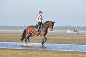 st-Peter-Ording-14_065.jpg