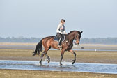 st-Peter-Ording-14_067.jpg