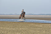 st-Peter-Ording-14_073.jpg