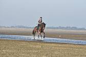 St peter Ording 14