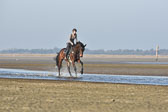 st-Peter-Ording-14_075.jpg
