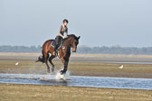 st-Peter-Ording-14_081.jpg