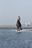 st-Peter-Ording-14_090.jpg