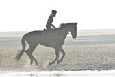 St peter Ording 14