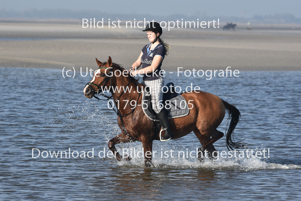 St-Peter-Ording-3-4-115.jpg