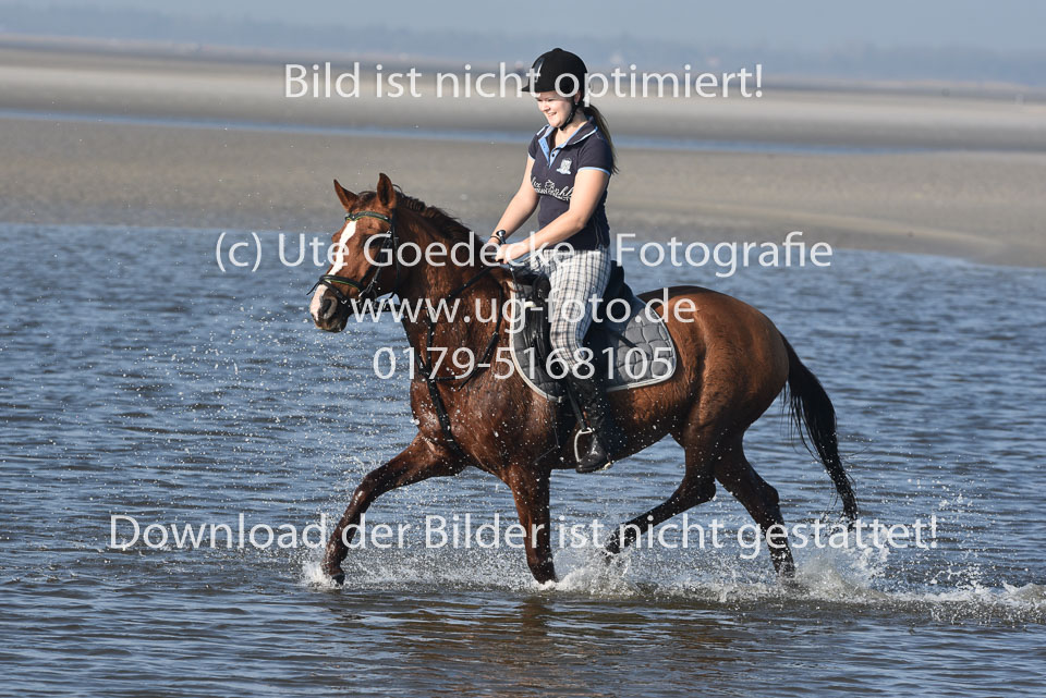 St-Peter-Ording-3-4-118.jpg