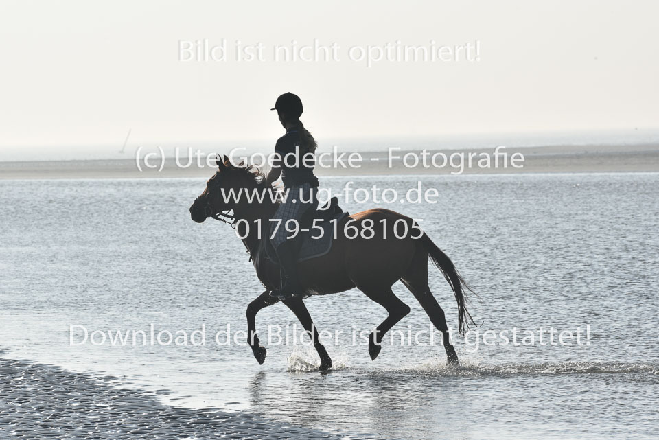 St-Peter-Ording-3-4-128.jpg
