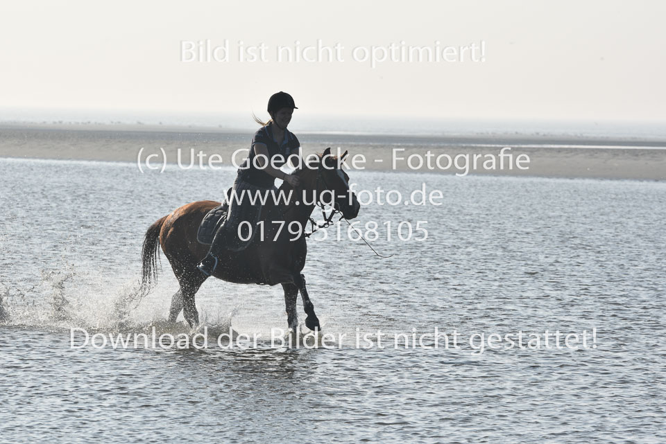 St-Peter-Ording-3-4-134.jpg