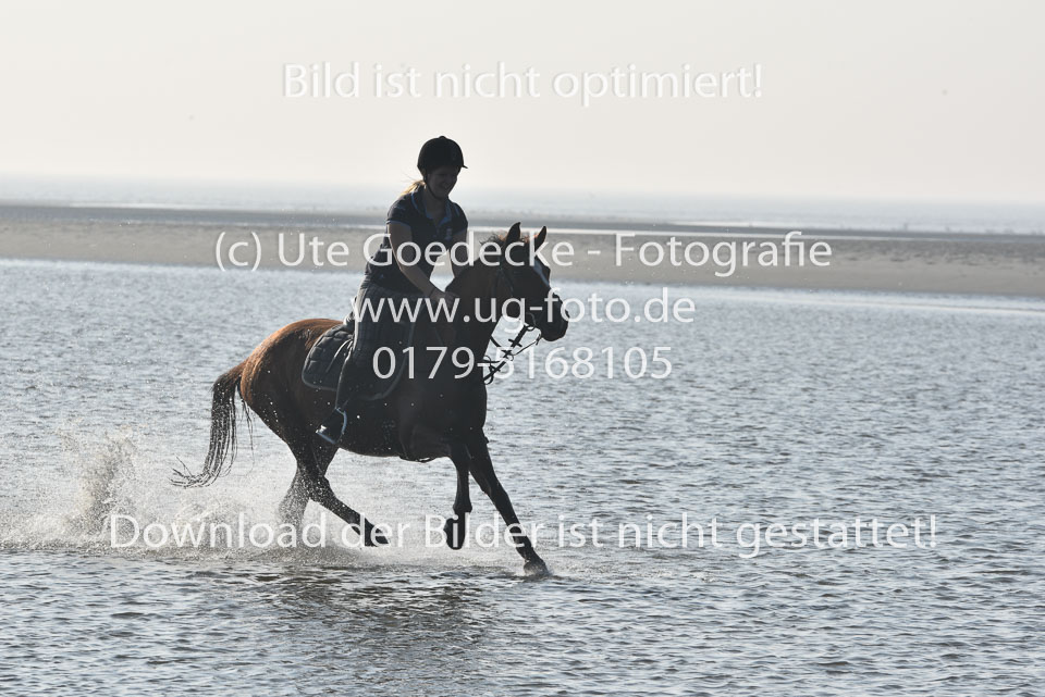 St-Peter-Ording-3-4-135.jpg
