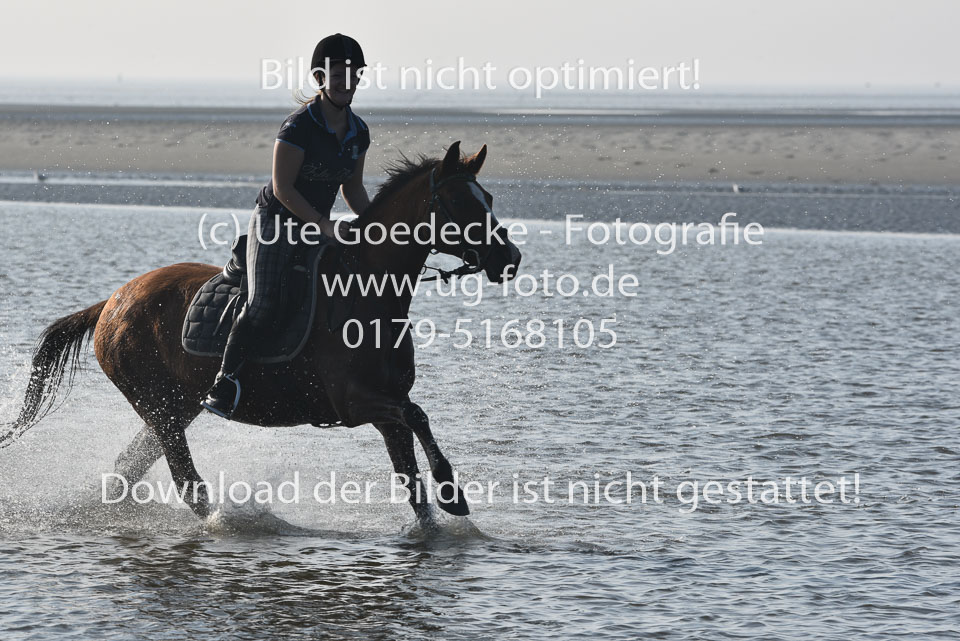 St-Peter-Ording-3-4-136.jpg