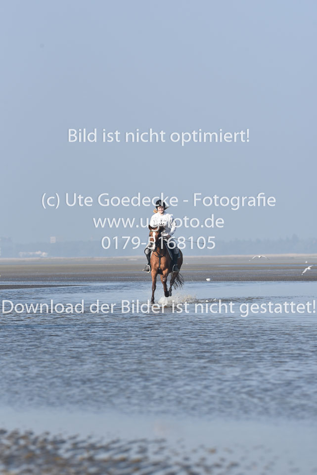 St-Peter-Ording-3-4-15.jpg