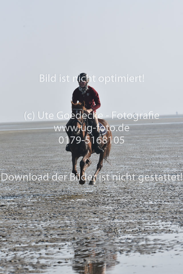 St-Peter-Ording-3-4-23.jpg