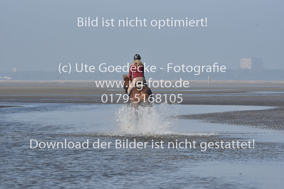 St-Peter-Ording-3-4-26.jpg