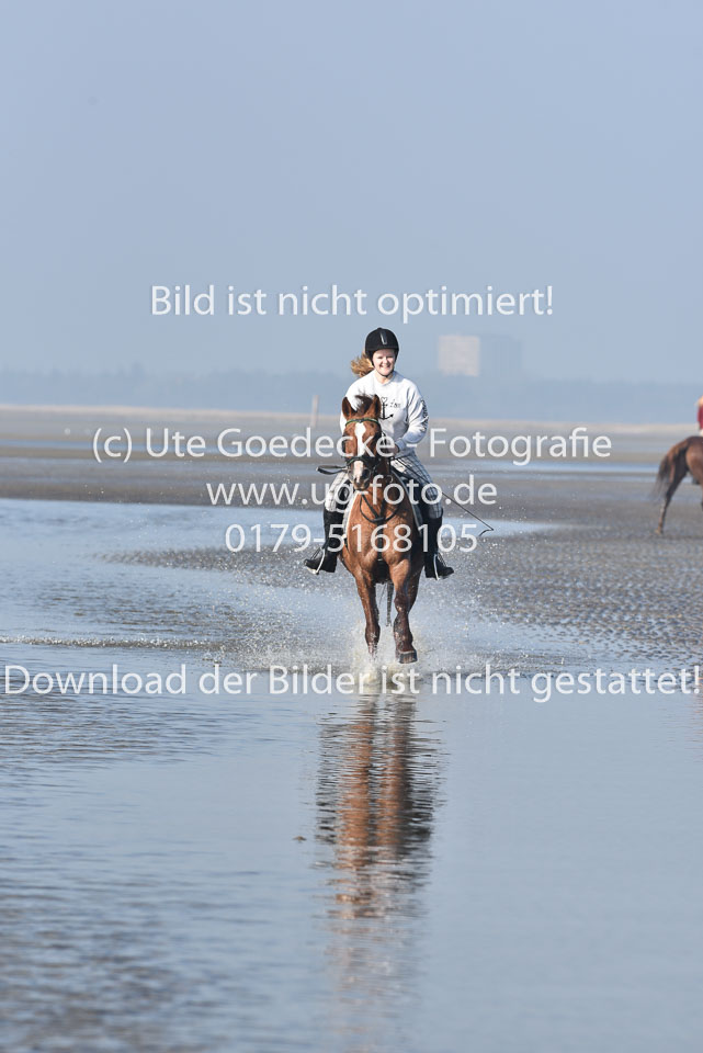 St-Peter-Ording-3-4-31.jpg