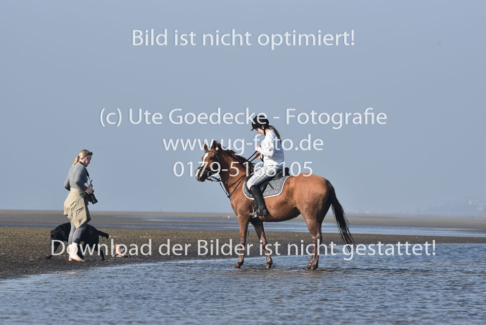 St-Peter-Ording-3-4-56.jpg