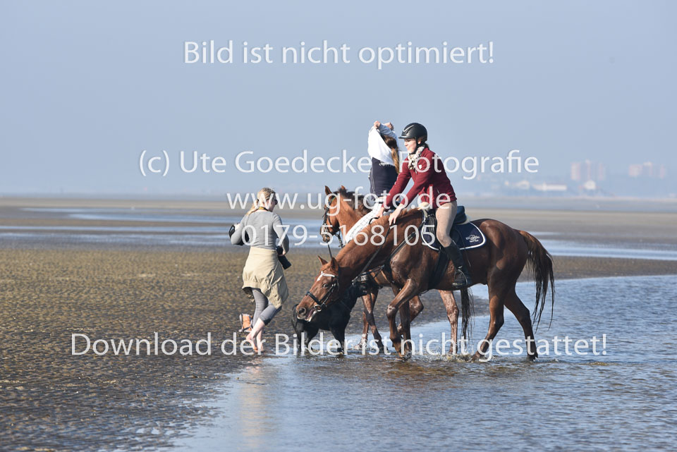 St-Peter-Ording-3-4-57.jpg