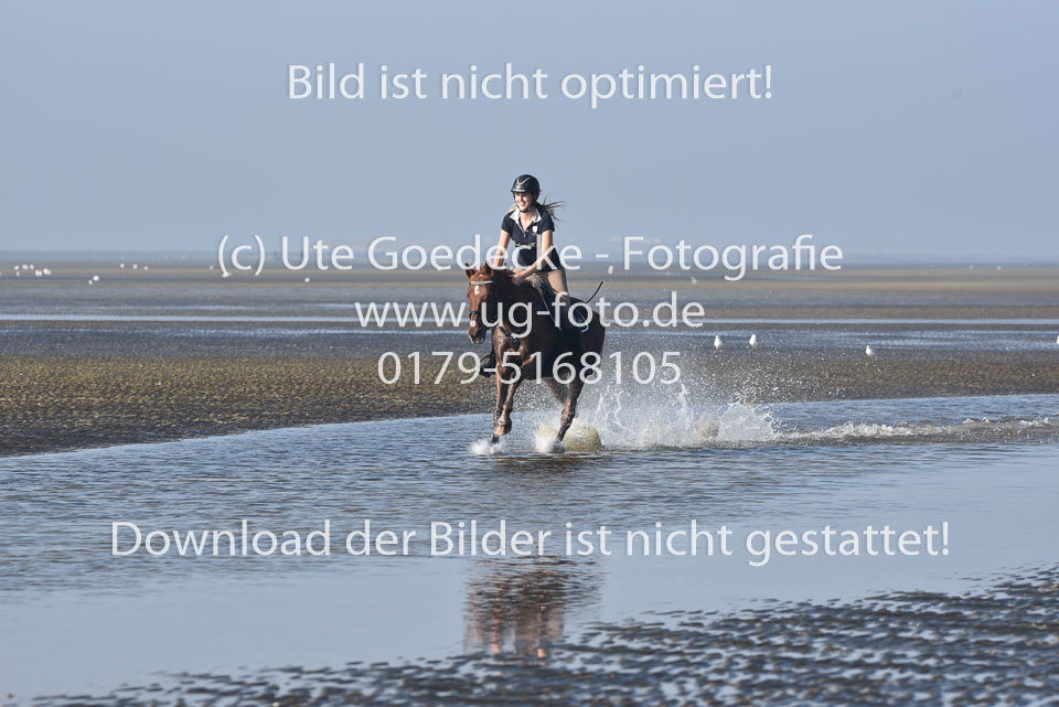 St-Peter-Ording-3-4-58.jpg