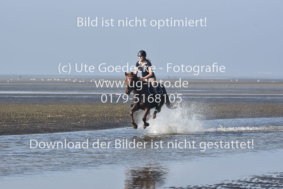 St-Peter-Ording-3-4-59.jpg
