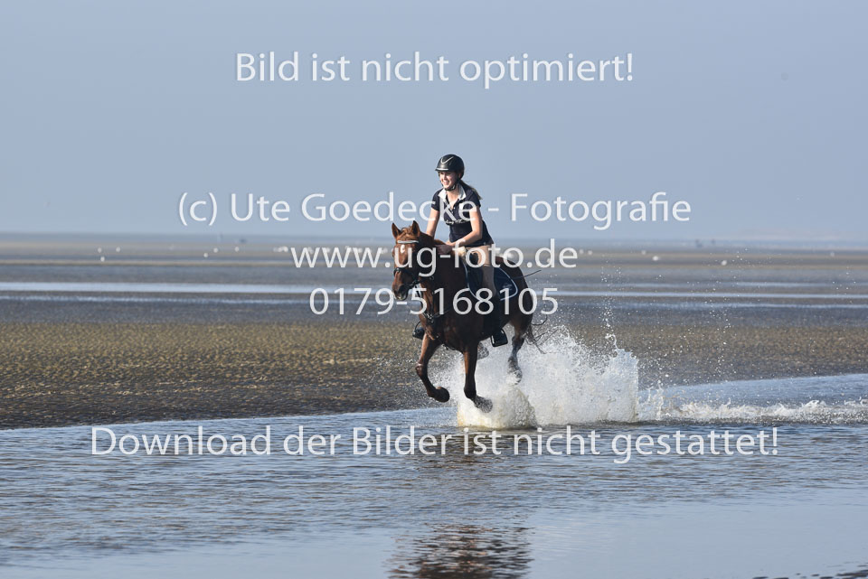 St-Peter-Ording-3-4-61.jpg