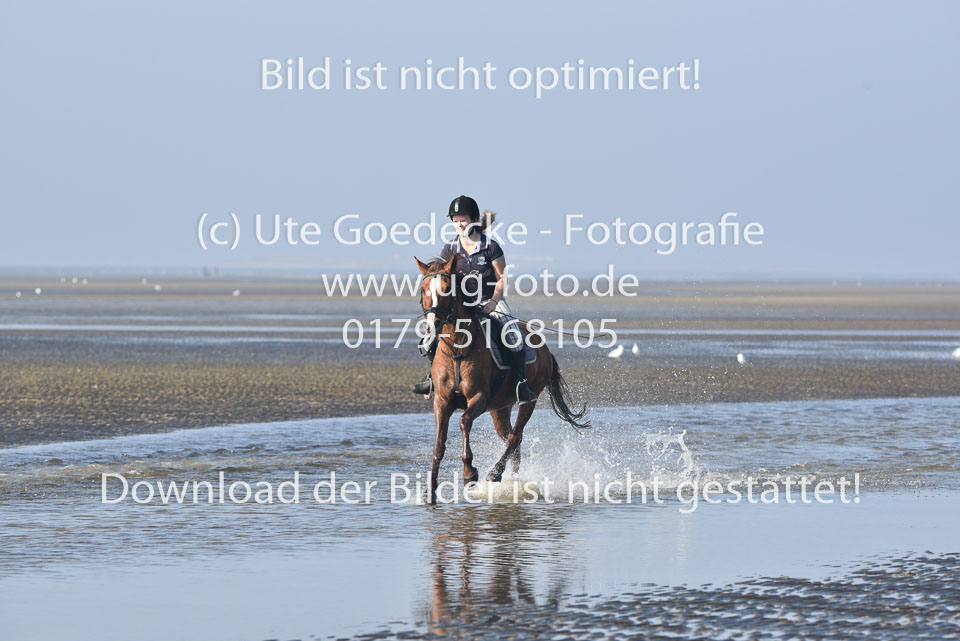 St-Peter-Ording-3-4-63.jpg