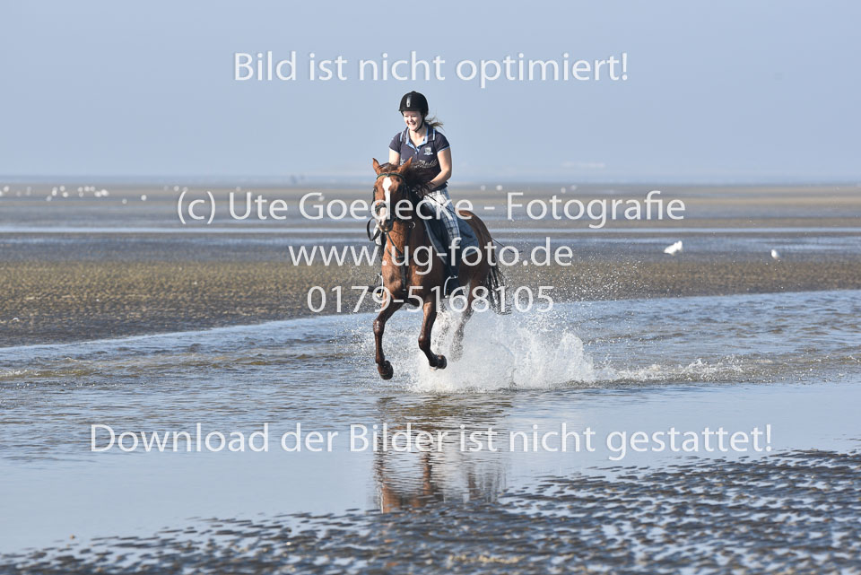 St-Peter-Ording-3-4-64.jpg