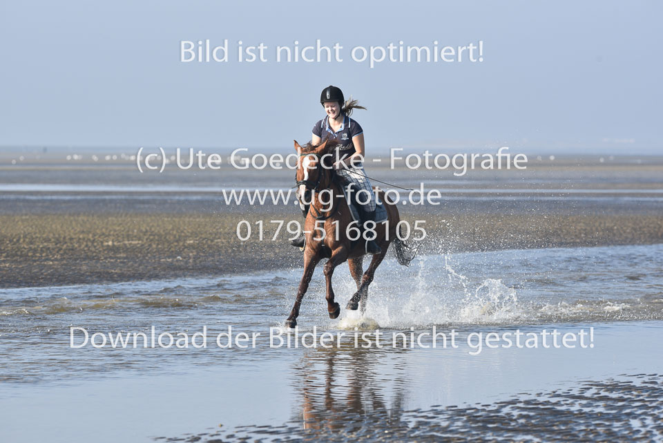 St-Peter-Ording-3-4-65.jpg