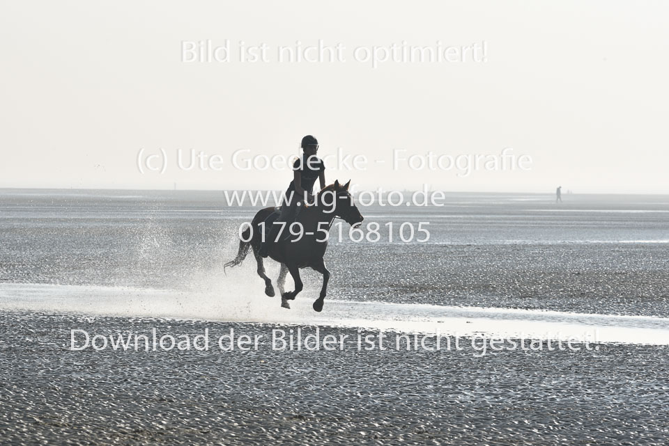 St-Peter-Ording-3-4-73.jpg