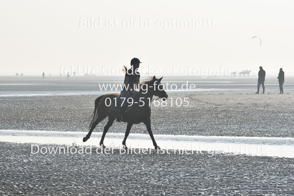 St-Peter-Ording-3-4-80.jpg