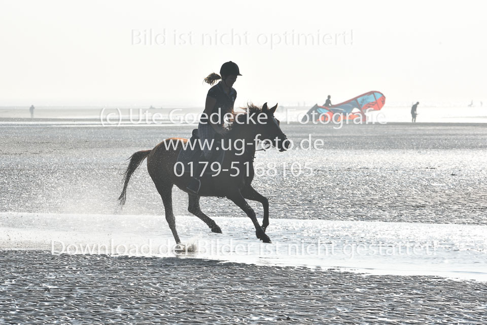 St-Peter-Ording-3-4-82.jpg