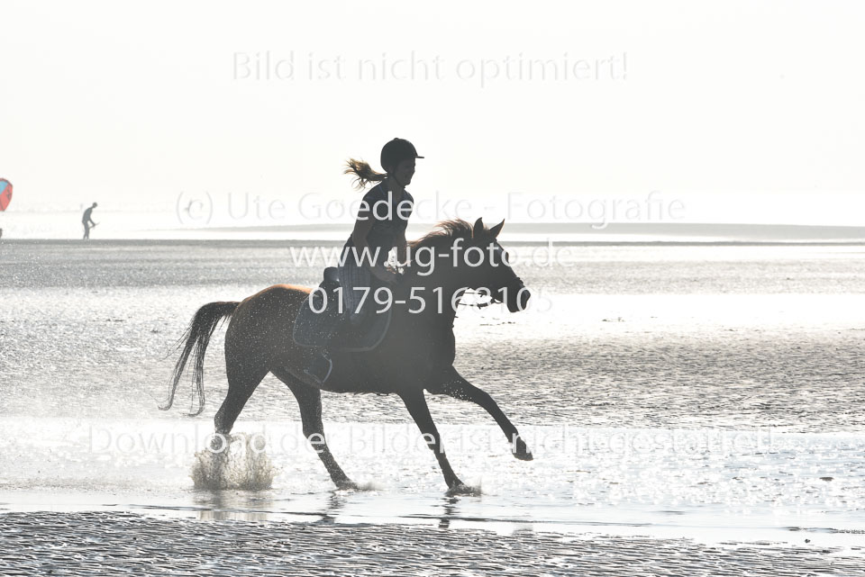 St-Peter-Ording-3-4-83.jpg