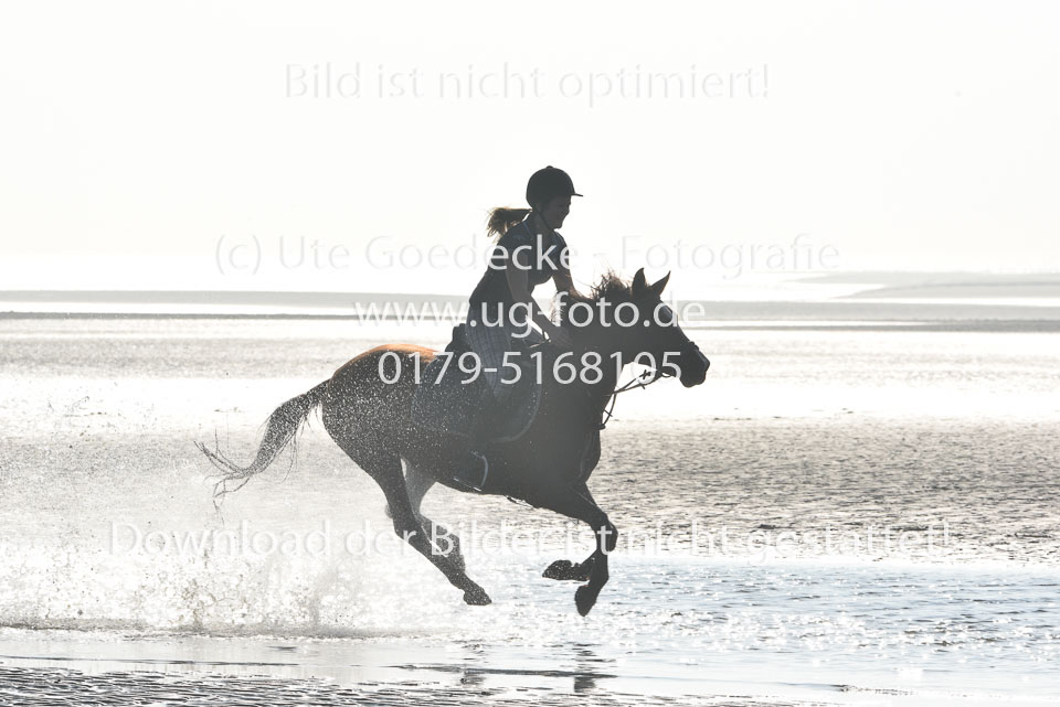St-Peter-Ording-3-4-84.jpg