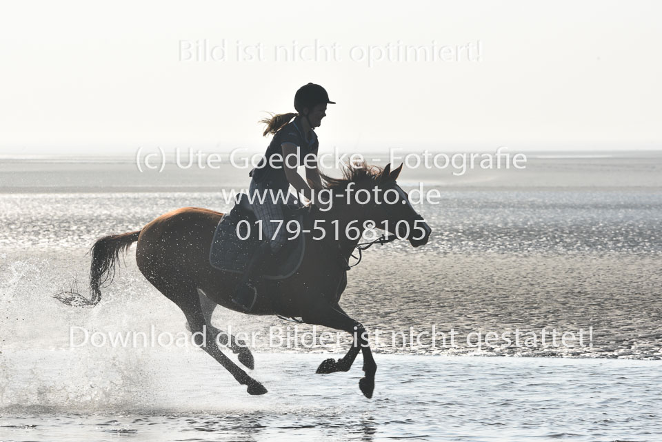 St-Peter-Ording-3-4-88.jpg