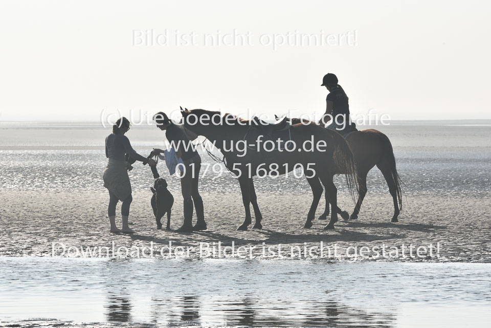 St-Peter-Ording-3-4-91.jpg