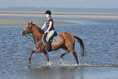 St-Peter-Ording-3-4-106.jpg
