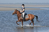 St-Peter-Ording-3-4-107.jpg