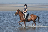 St Peter Ording 3+4