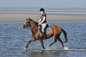 St-Peter-Ording-3-4-112.jpg