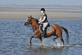 St-Peter-Ording-3-4-113.jpg