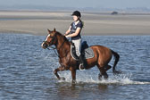 St-Peter-Ording-3-4-115.jpg