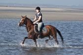 St-Peter-Ording-3-4-117.jpg