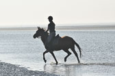 St-Peter-Ording-3-4-128.jpg