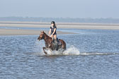 St-Peter-Ording-3-4-146.jpg
