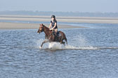 St-Peter-Ording-3-4-147.jpg
