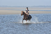 St-Peter-Ording-3-4-151.jpg