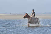 St-Peter-Ording-3-4-153.jpg
