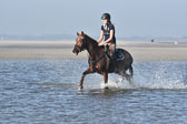 St-Peter-Ording-3-4-157.jpg