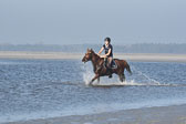 St-Peter-Ording-3-4-170.jpg