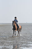 St-Peter-Ording-3-4-24.jpg