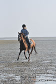 St-Peter-Ording-3-4-25.jpg
