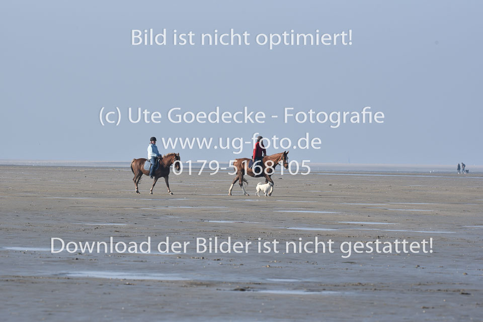 St-Peter-Ording-5-6-_001.jpg